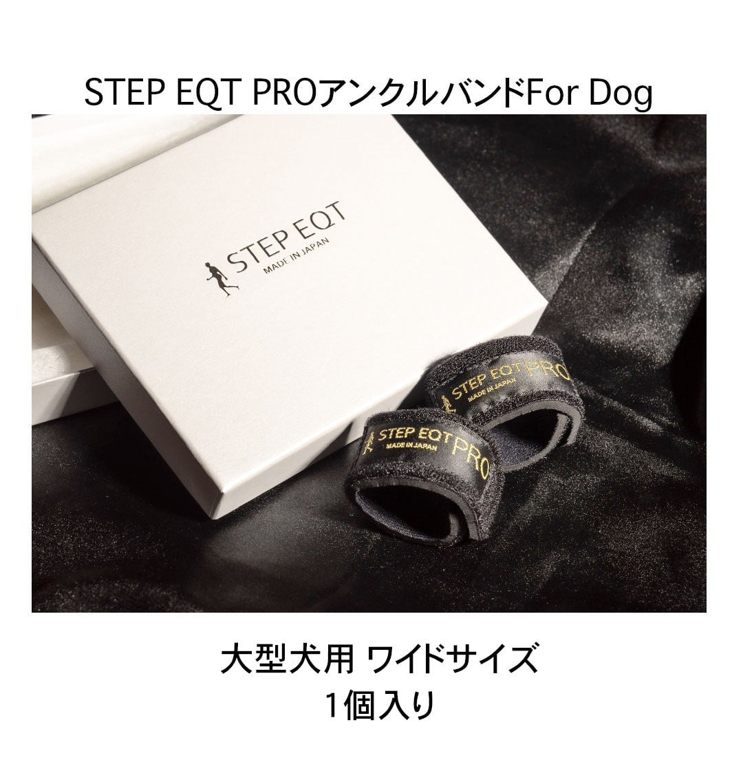 STEP EQT PROアンクルバンド（大型犬用）ワイドサイズ（1個入り）