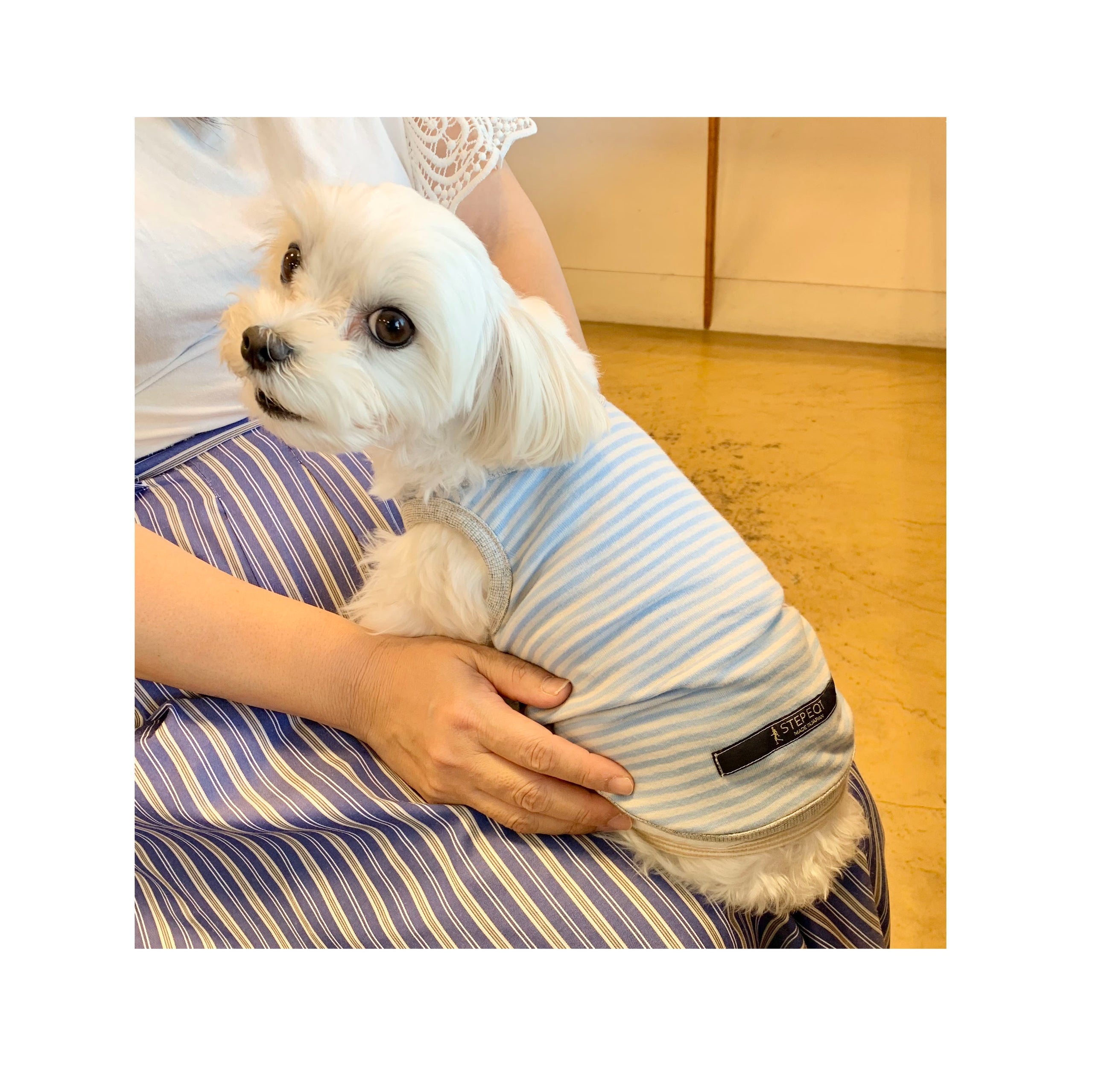 EQT超長綿犬用インナー 【受注生産】